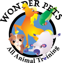 Wonder Pets Training